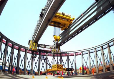 Ядерна крана